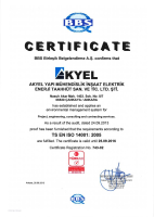 ISO 14001 (İngilizce)
