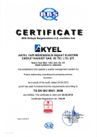 ISO 9001 (İngilizce)